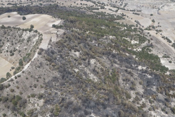 Por: Cortesía Incendio forestal de Libres deja 120 hectáreas dañadas