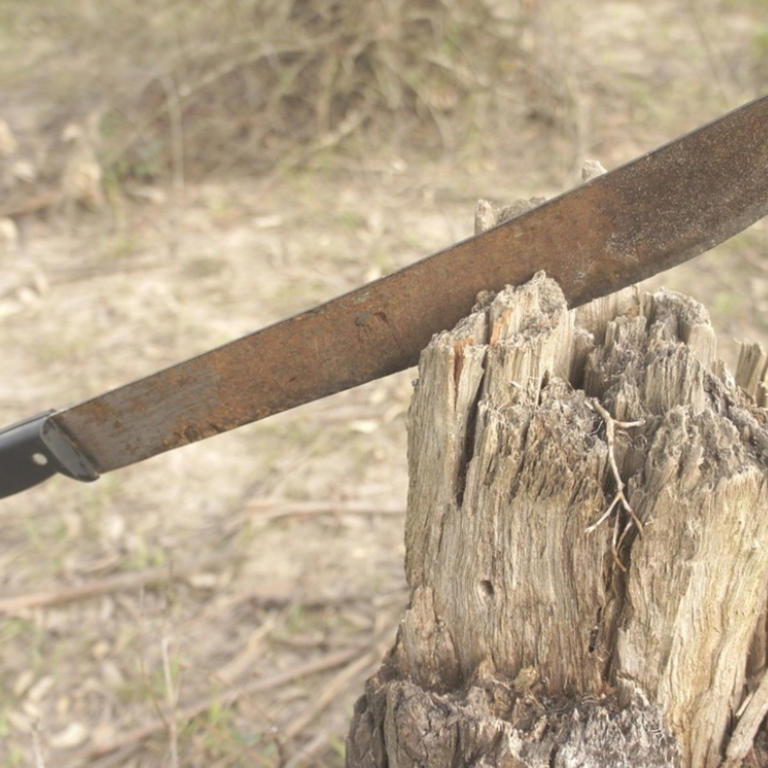 Por: Cortesía Machete