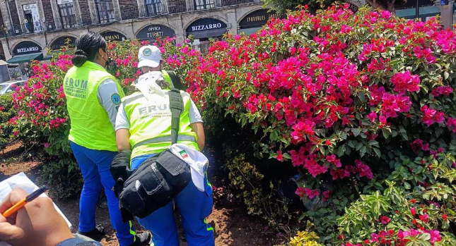 Por: Cortesía Localizan a un hombre sin vida en jardinera del Zócalo capitalino