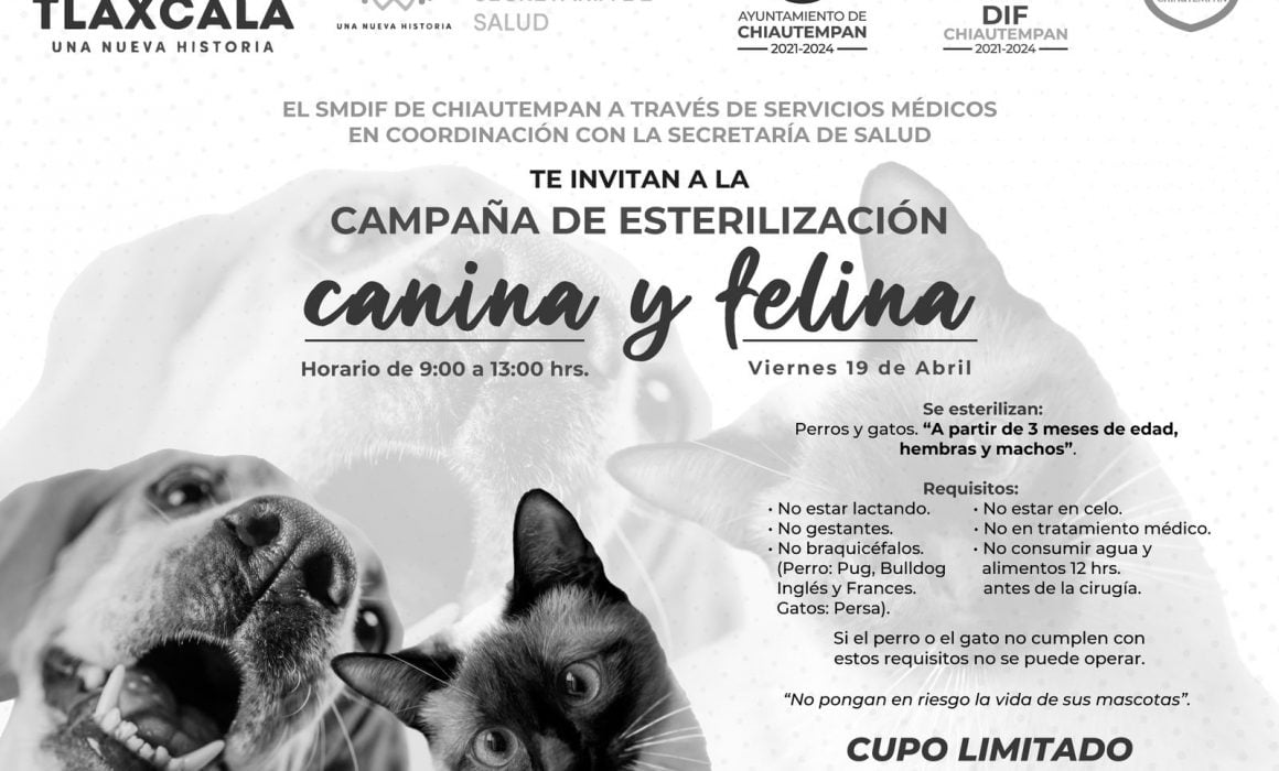 Por: Cortesía Realizarán campaña de esterilización en Chiautempan