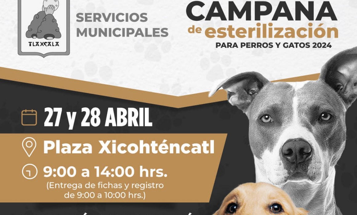 Este fin de semana habrá esterilización en Tlaxcala capital