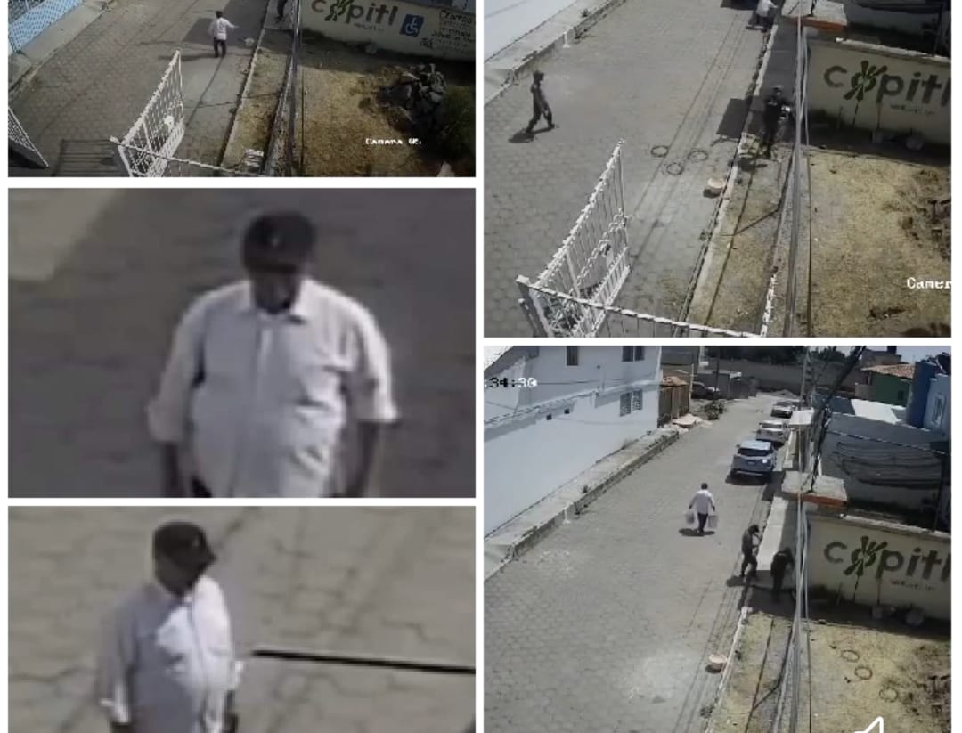 OCPA invita a denunciar casos de maltrato animal