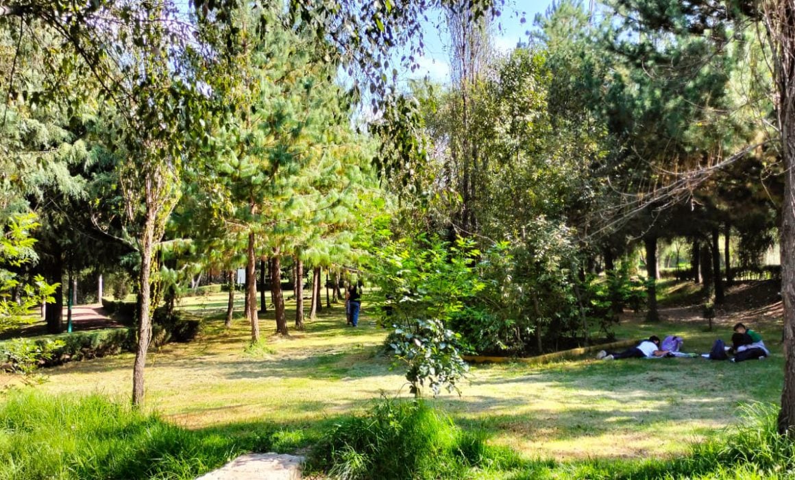 Fomenta SMA la visita y cuidado de áreas naturales en vacaciones