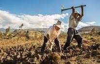 Por: Cortesía Lula Pineda Tonantzin Fernández de la coalición "Sigamos Haciendo Historia" signa acuerdos para el desarrollo agrícola en San Pedro Cholula