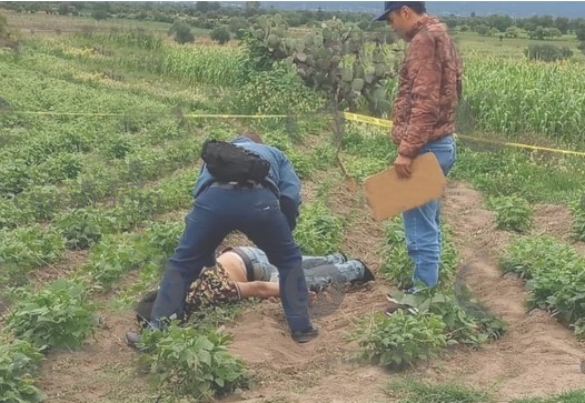 Por: Cortesía