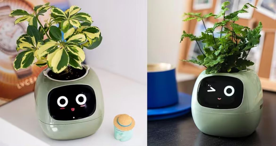 Por: Cortesía Maceta inteligente