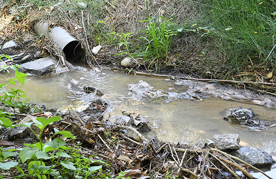Por: Archivo  Aguas! Riesgo por envenenamiento de plomo enciende alerta en Natívitas