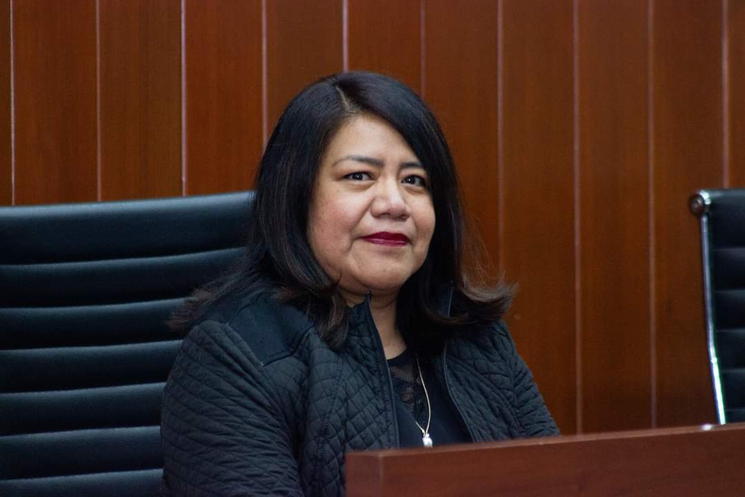 Verde Ecologista responderá legalmente ante invalidación de triunfo en Huamantla