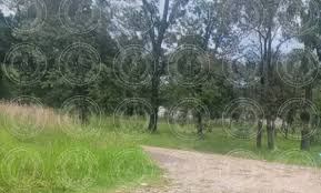 Investiga FGJ homicidio por localización de cuerpo en Tenancingo