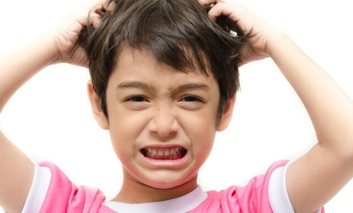 Por: Cortesía Recomienda IMSS evitar productos tóxicos para tratar pediculosis