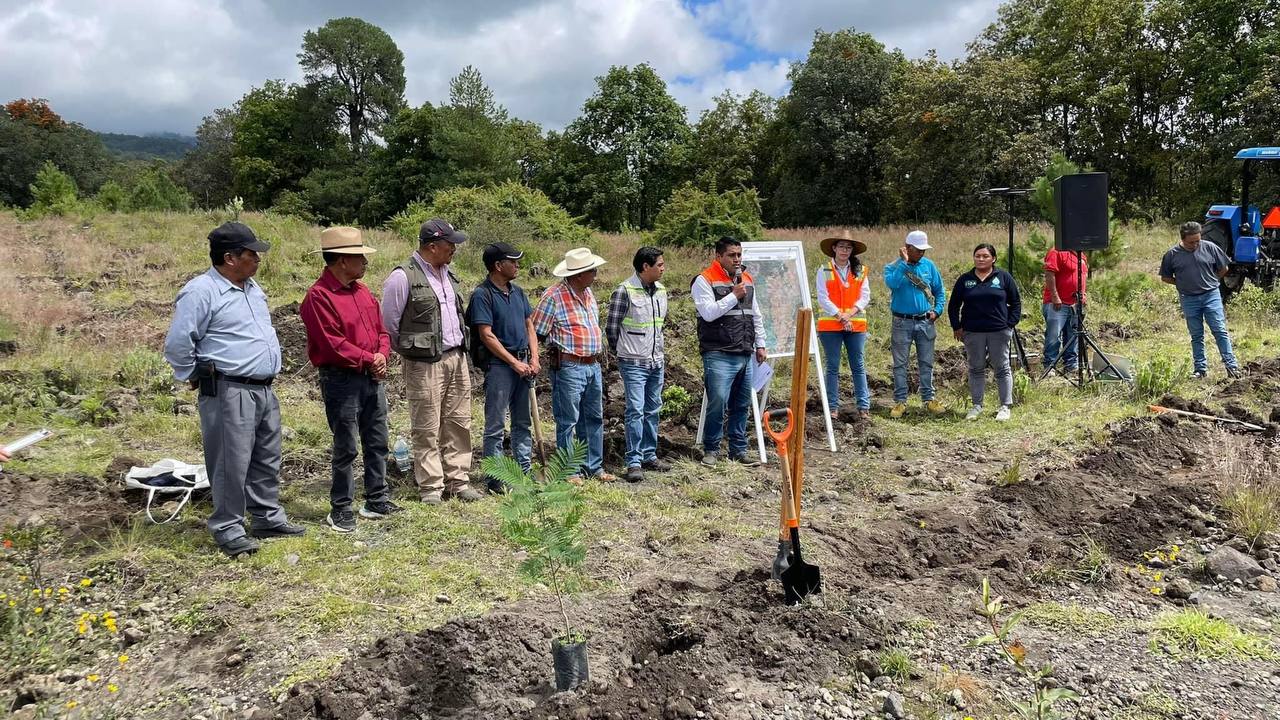 Por: Cortesía Reforestación Atlixco