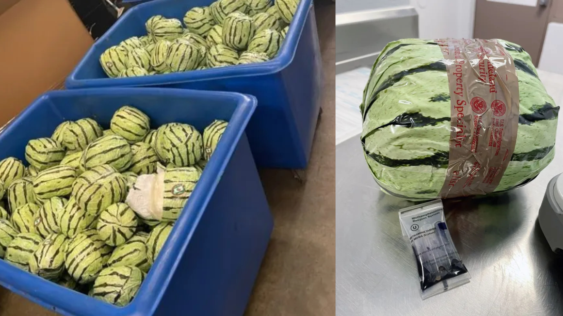 Por: Cortesía CBP incauta más de 5 millones de dólares en metanfetamina oculta en envío de sandías