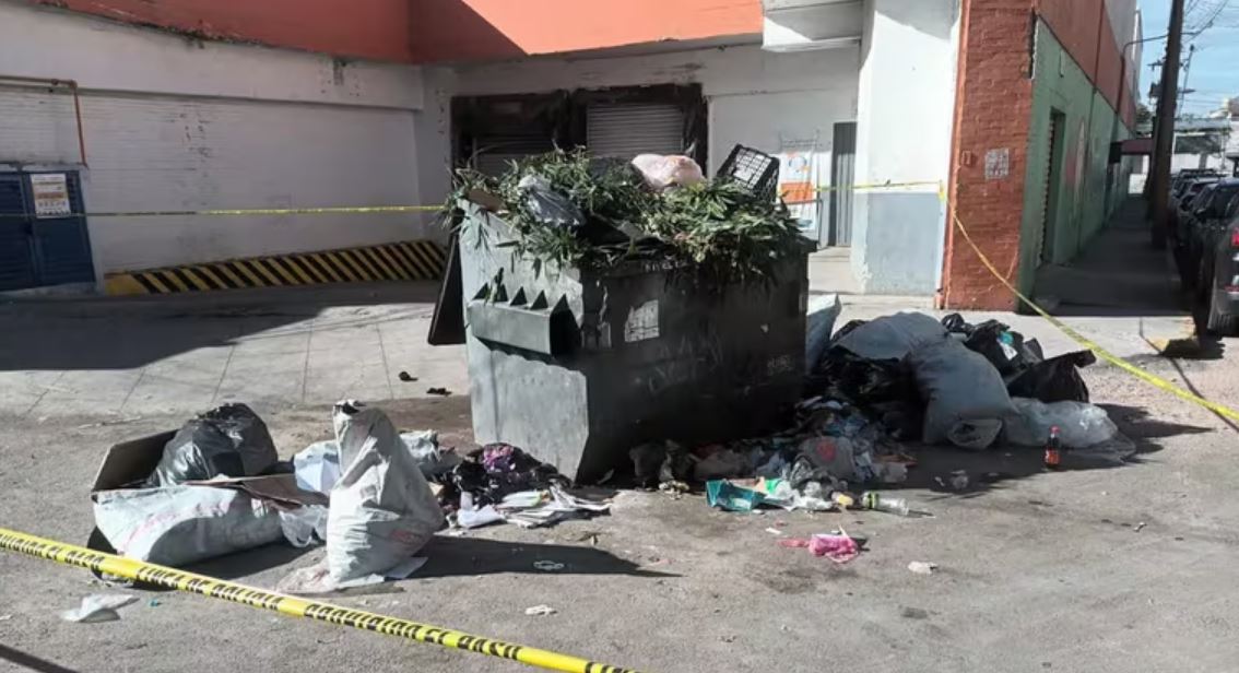 Por: Cortesía Feto, basura, Abandonado