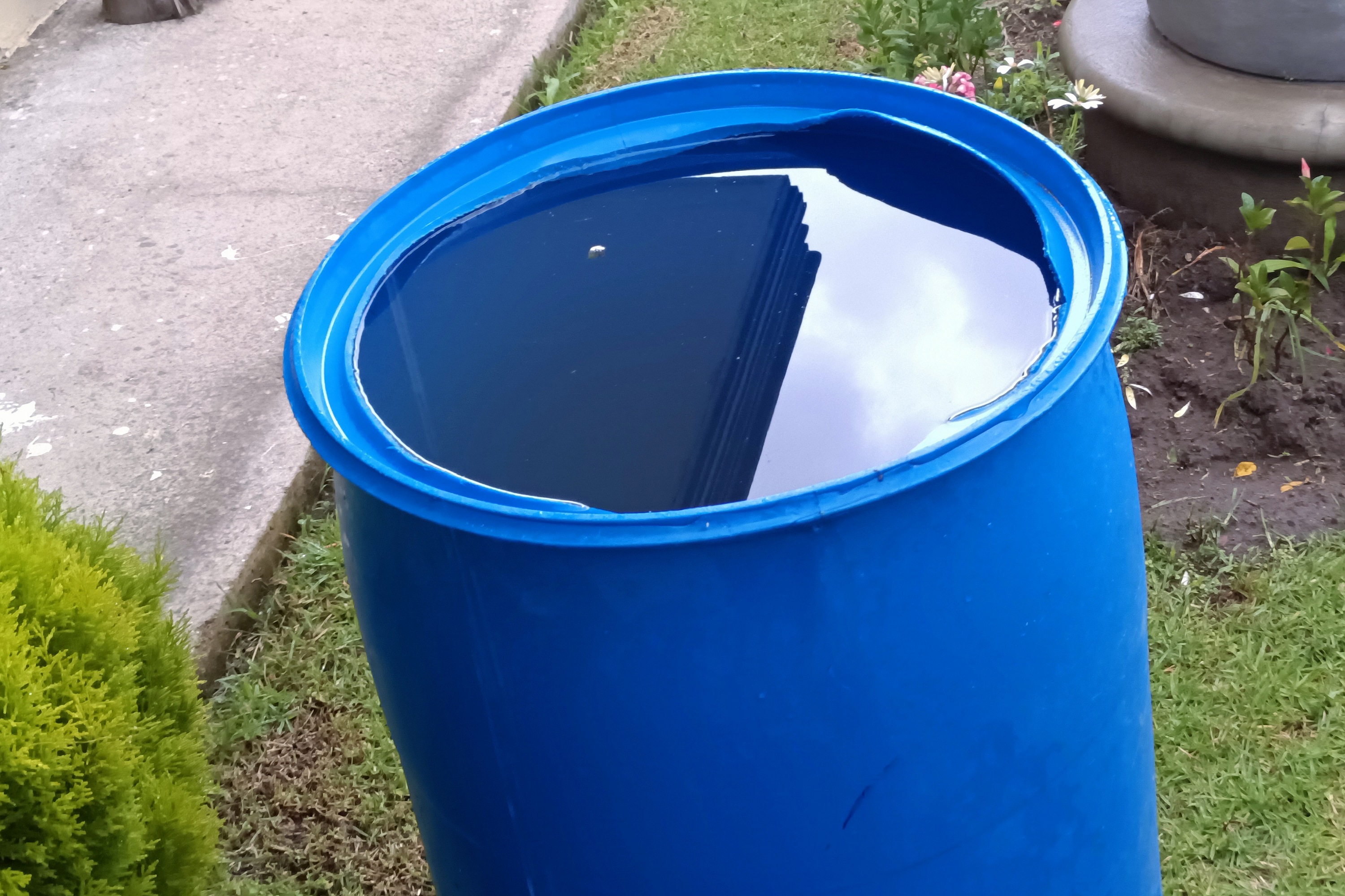 Por: Cortesía Dengue en Puebla: Casos acumulados alcanzan 1,864, con solo 4 hospitalizaciones