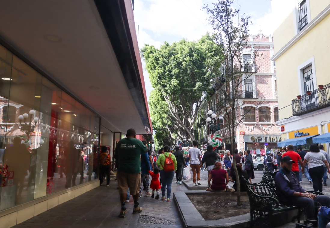 Por: Cortesía Colocan encino verde en Puebla en memoria de menor fallecido