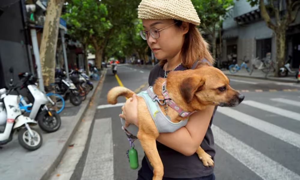 Por: Cortesía China: Más mascotas que niños menores de 4 años para 2030, según informe