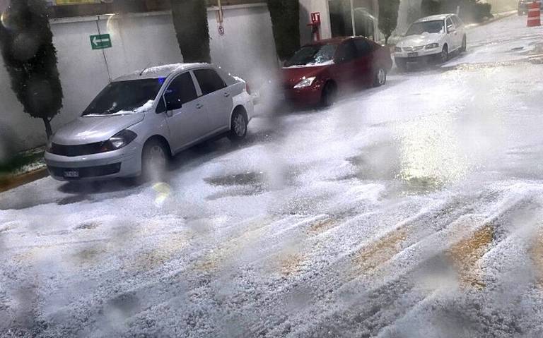 Por: Cortesía Fuertes lluvias y granizada azotan Álvaro Obregón: Caída de árbol y encharcamientos