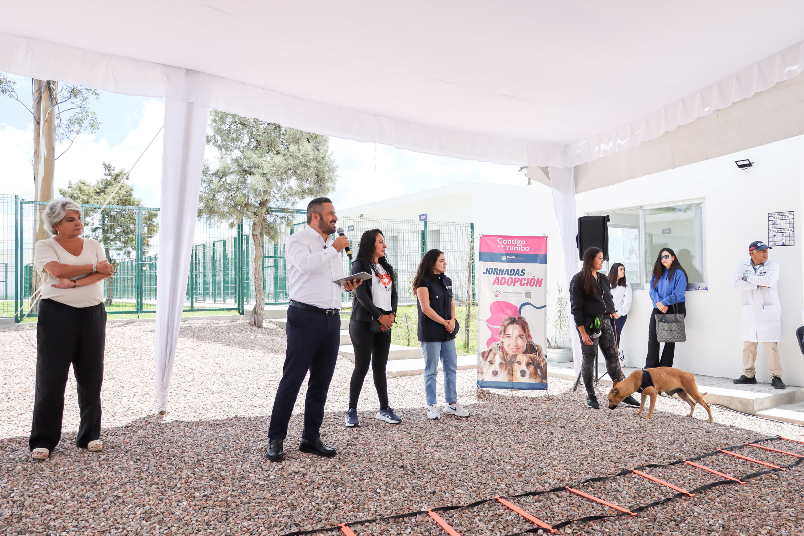 Por: Cortesía Inicia semana del Bienestar Animal en Puebla: Servicios Gratuitos para Mascotas del 5 al 9 de Agosto