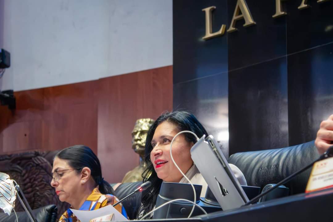 Por: Cortesía Necesario fortalecer la paridad de género: Senadora