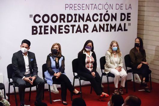Por: Archivo  Persisten omisiones de gobierno en cumplimiento a la Ley de Bienestar Animal