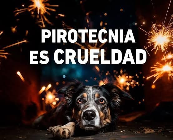 Por: Cortesía  46 municipios para reportar el uso ilegal de pirotecnia y proteger a animales