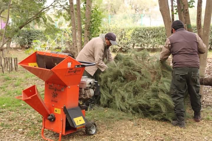 Por: Cortesía Tlaxcala impulsa árboles de Navidad y reciclaje para proteger bosques