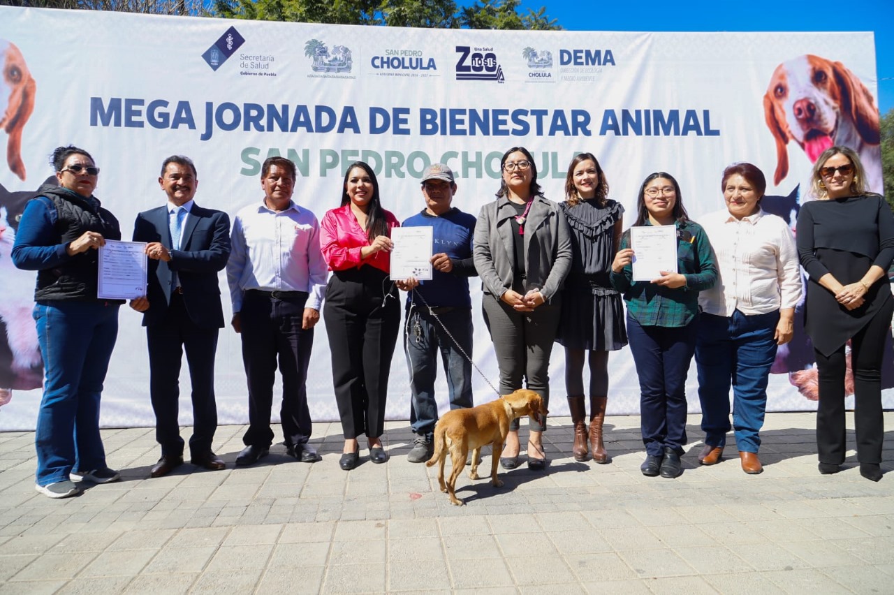 Realiza Gobierno de Cholula Mega Jornada de Esterilización