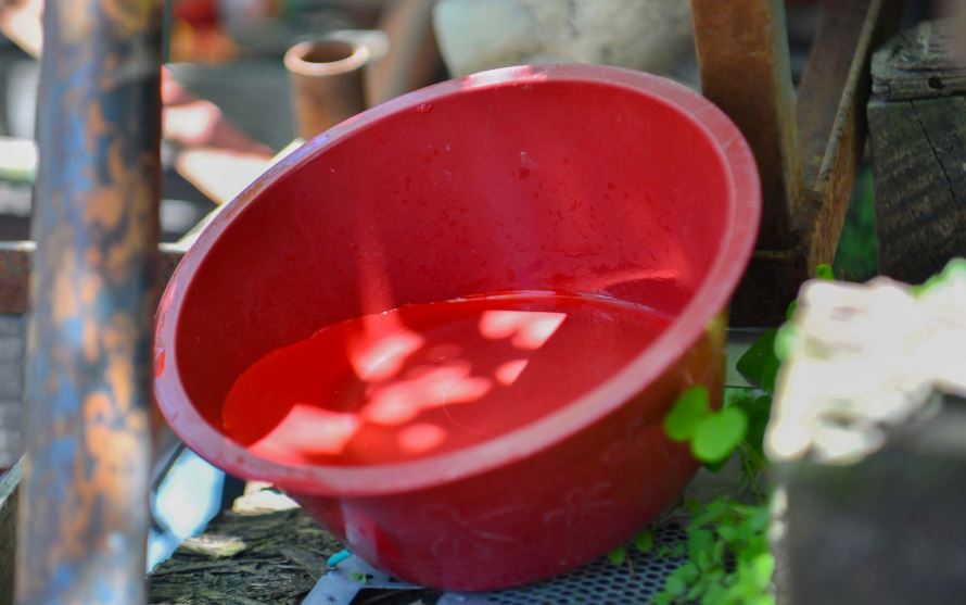 Foto: Cortesía Puebla reporta 3 hospitalizados por dengue, sin defunciones ni contagios