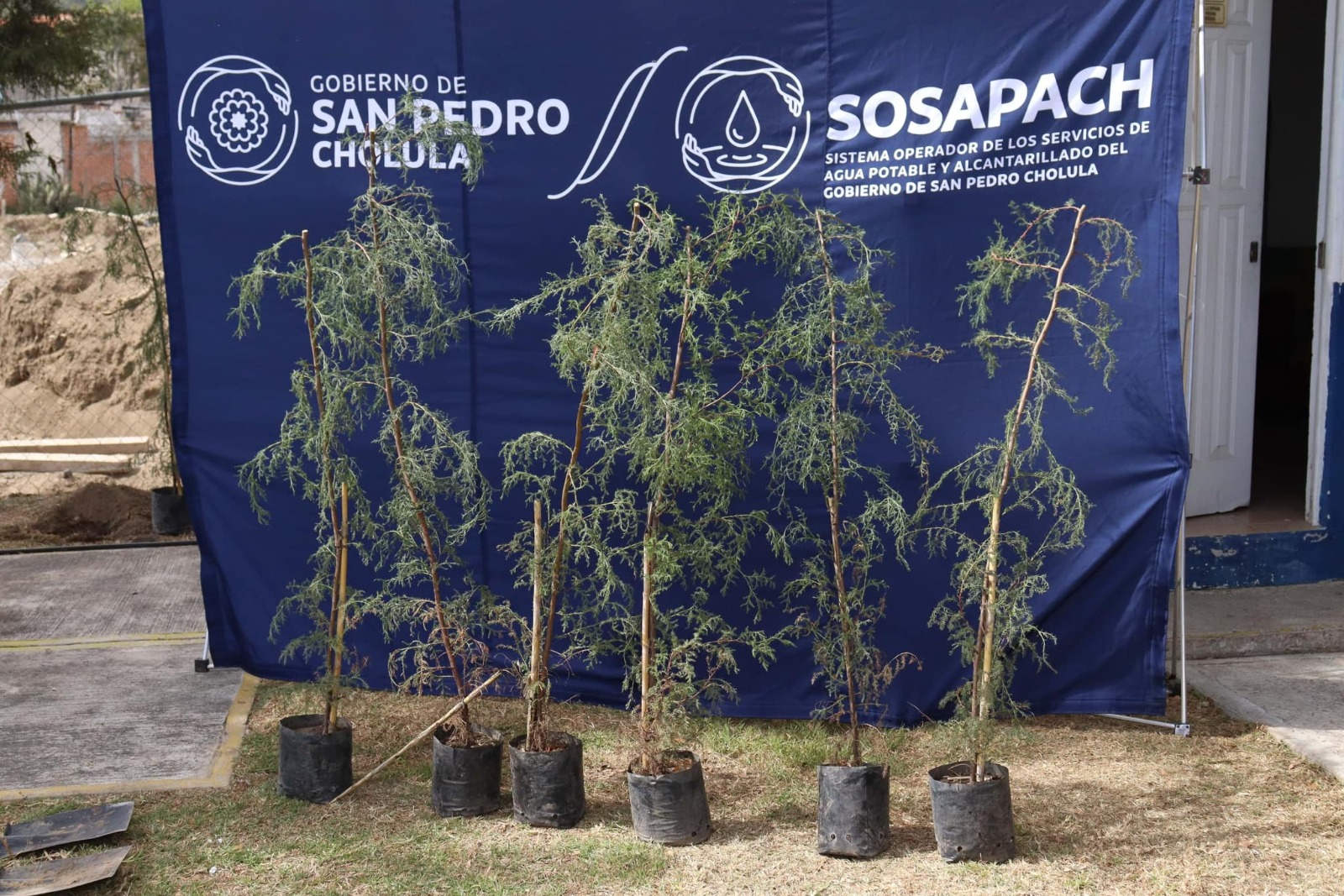 Comunicado oficial Promueve Paola Angon espacios verdes en San Pedro Cholula