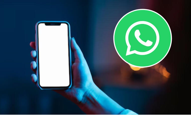 Por: Cortesía WhatsApp