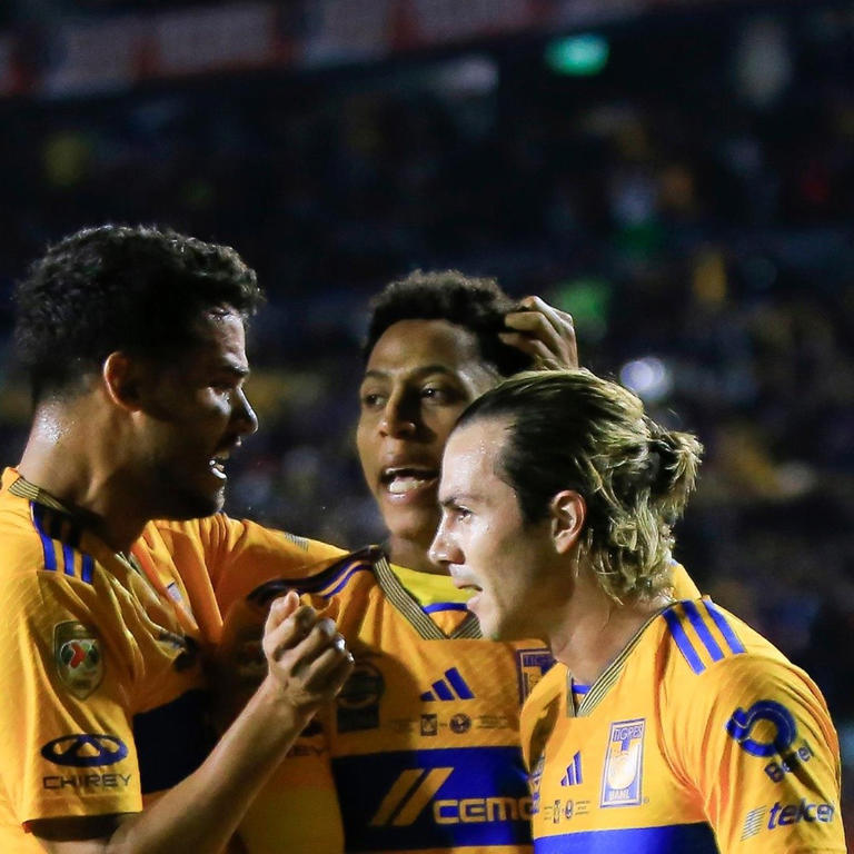 Por: Cortesía Tigres