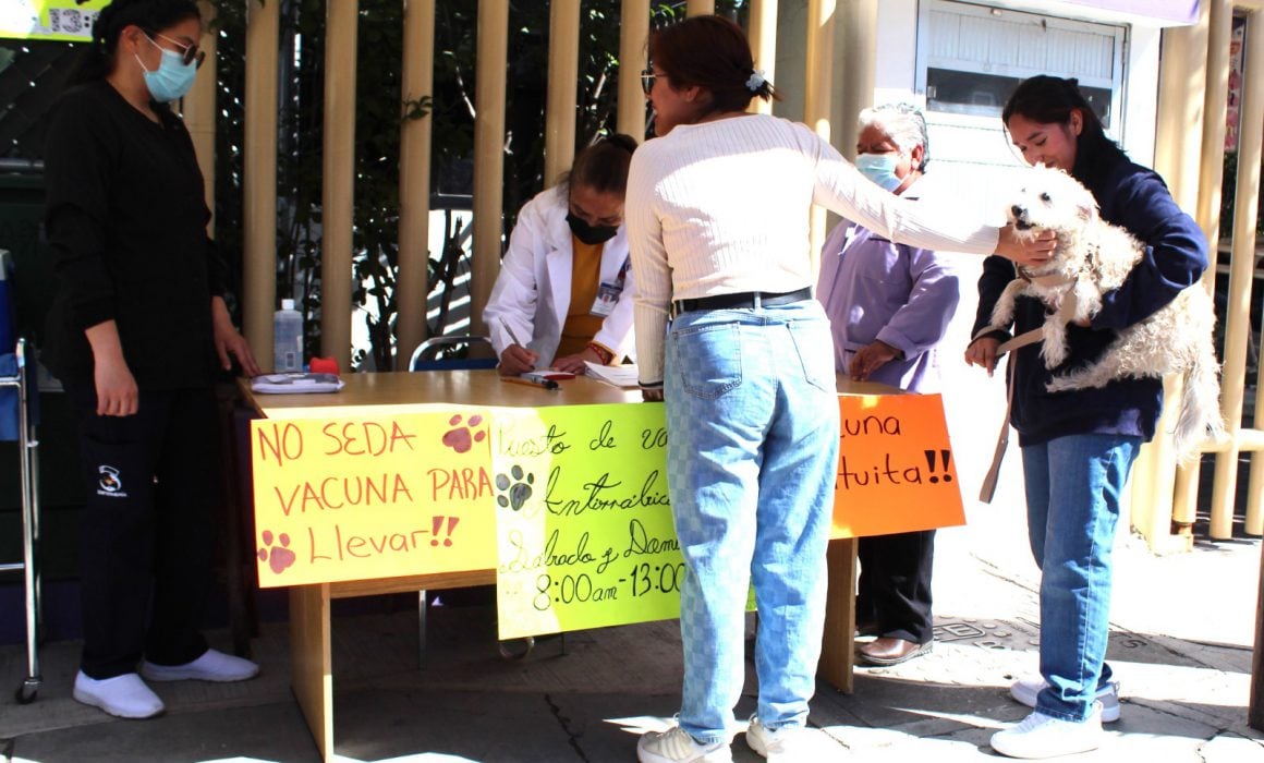 Inicia Sector Salud campaña de vacunación antirrábica canina y felina