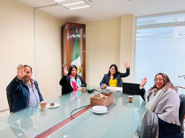 Berenice Porquillo: Propuesta de mesa de trabajo para revisión de reglamento interno de Cabildo