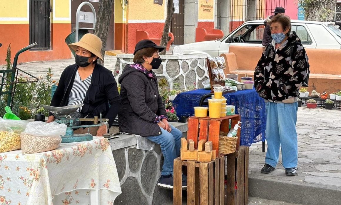Mejora economía de familias de Huamantla gracias al Tianguis de Semillas