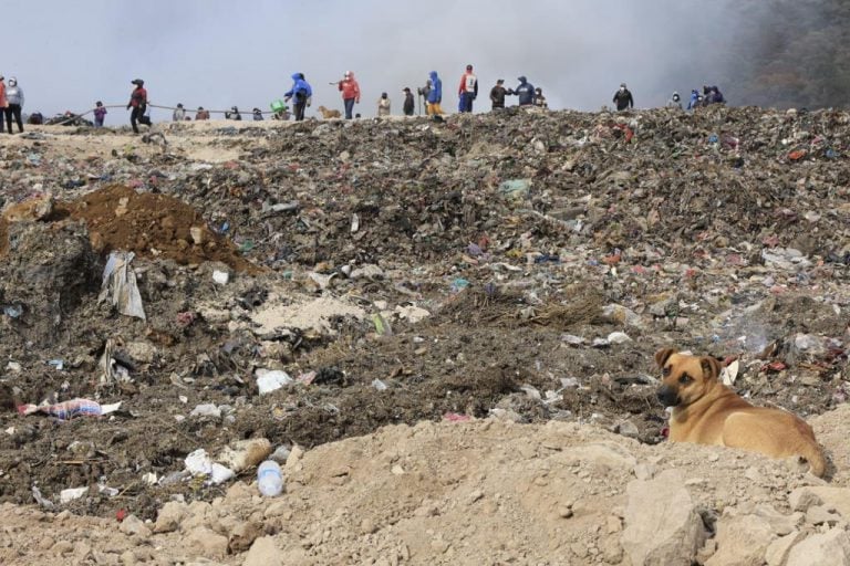 Relleno sanitario de Panotla es una bomba de tiempo: Lorena Cuéllar
