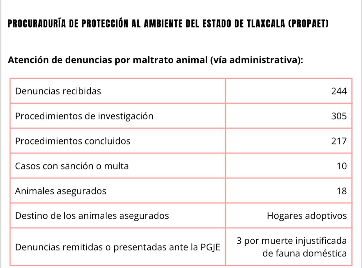 Elevado Número de Denuncias por Maltrato Animal en Tlaxcala