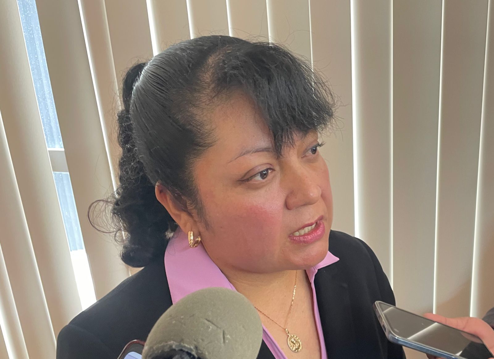 IAIP Advierte sobre Recurrentes Incumplimientos de Ayuntamientos en Transparencia