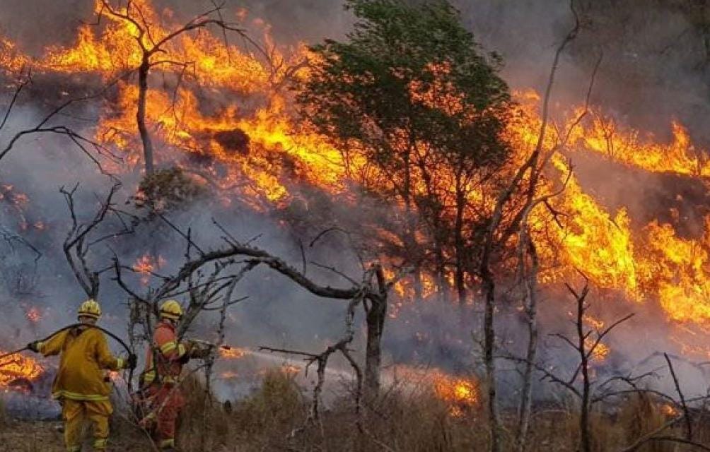 Por: Cortesía En su primer mes del año, Tlaxcala acumula cuatro incendios forestales