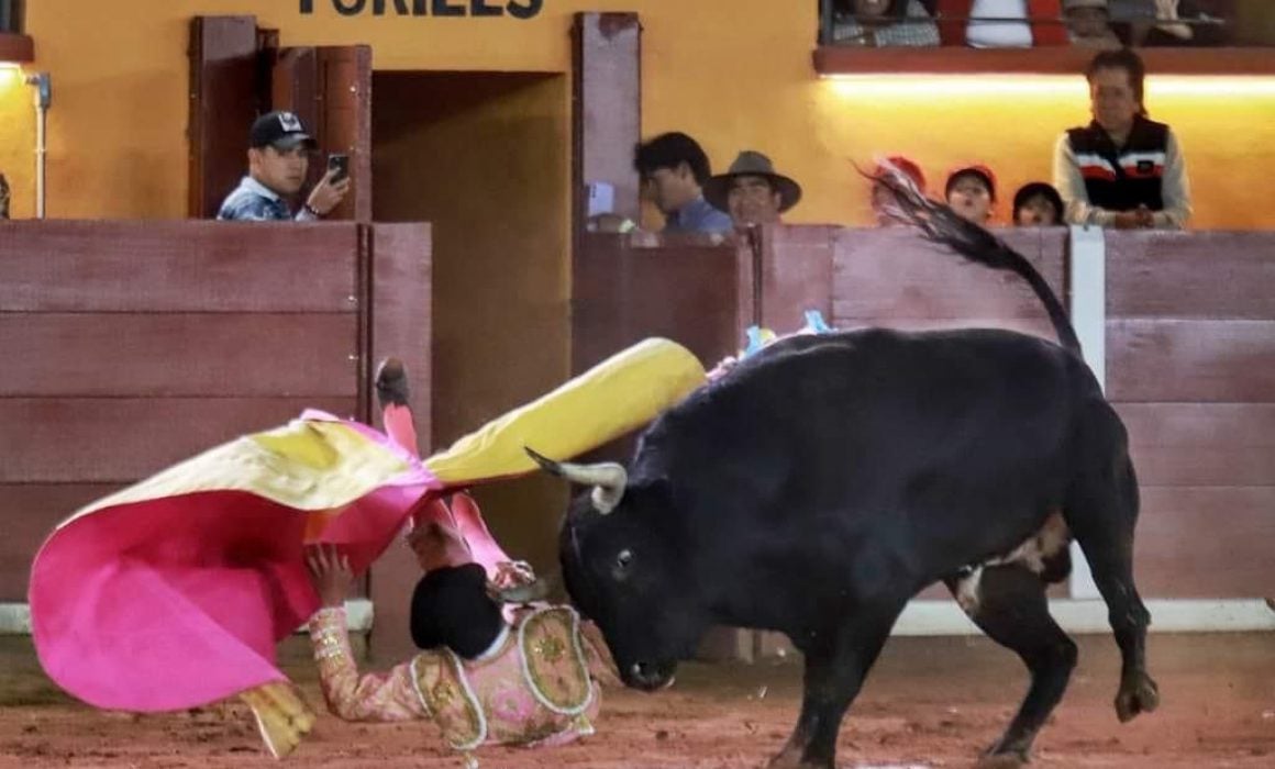 Mejora el estado de salud de matador Alberto Ortega tras operación