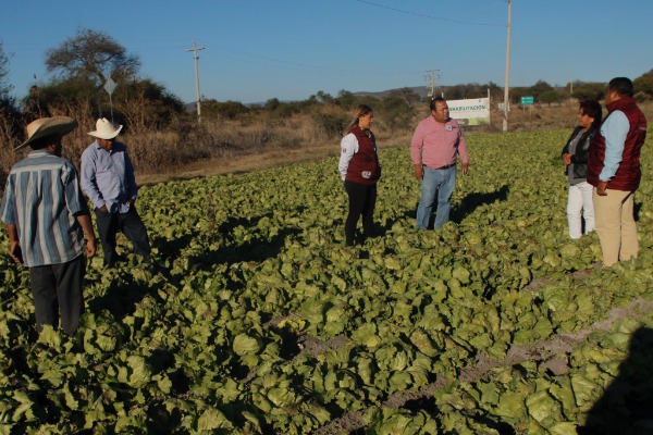 Por: Cortesía Gobierno destina 45 mdp para indemnizar daños al campo