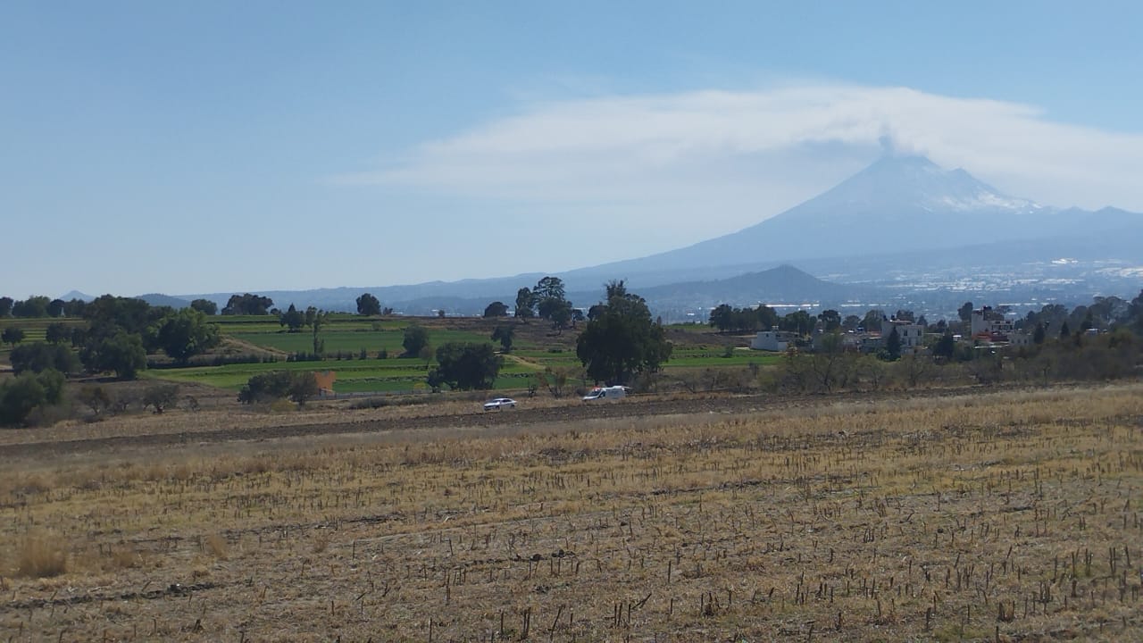 Por: Cortesía Localizan cráneo humano en predio de Ixtacuixtla; fue devorado por la fauna del lugar