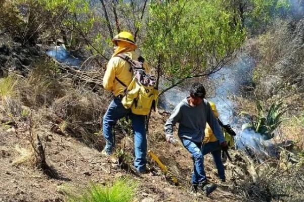 Por: Cortesía Logran control al 100% incendio en Ixtacamaxtitlán