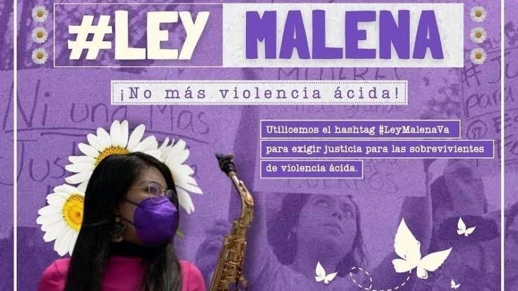 Por: Cortesía Congreso aprueba Ley Malena que castiga con cárcel la violencia ácida