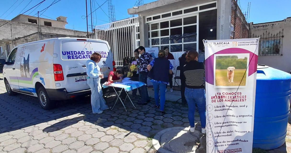 Por: Cortesía Ayuntamientos deben asumir su responsabilidad sobre perros en situación de calle: CBA