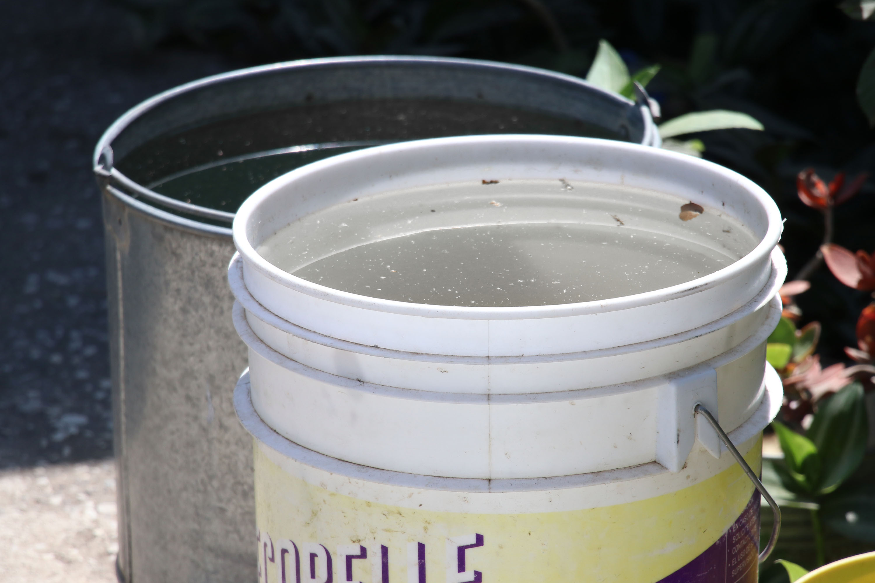 Por: Cortesía Dengue en Puebla