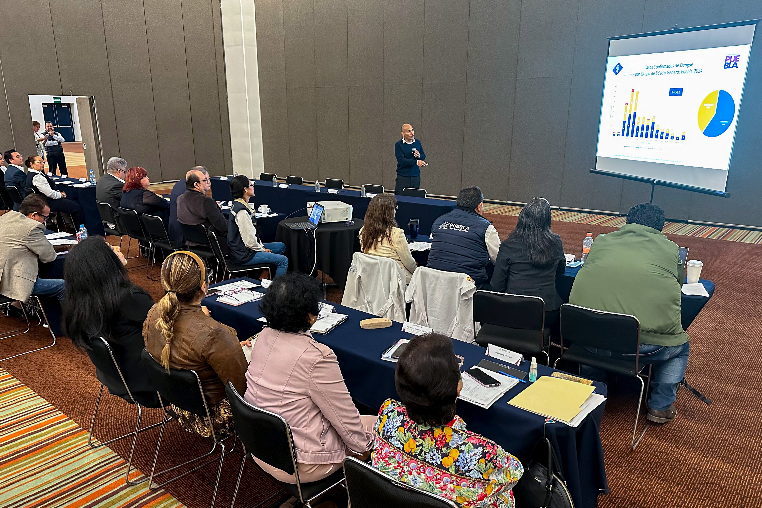 Por: Cortesía Dengue Puebla