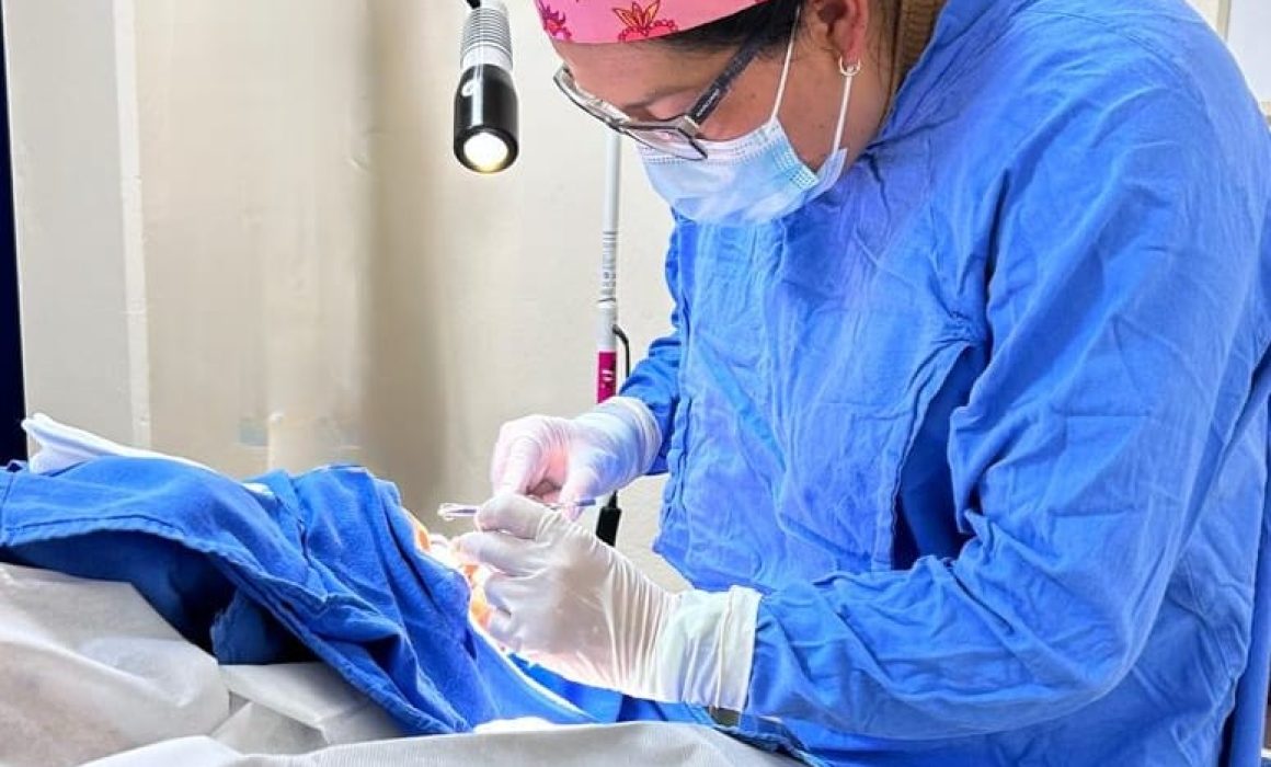 Logra IMSS sexta procuración de córneas de 2024