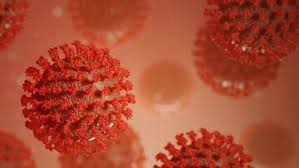 Por: Cortesía Nuevas variantes de Covid-19 circulan en México