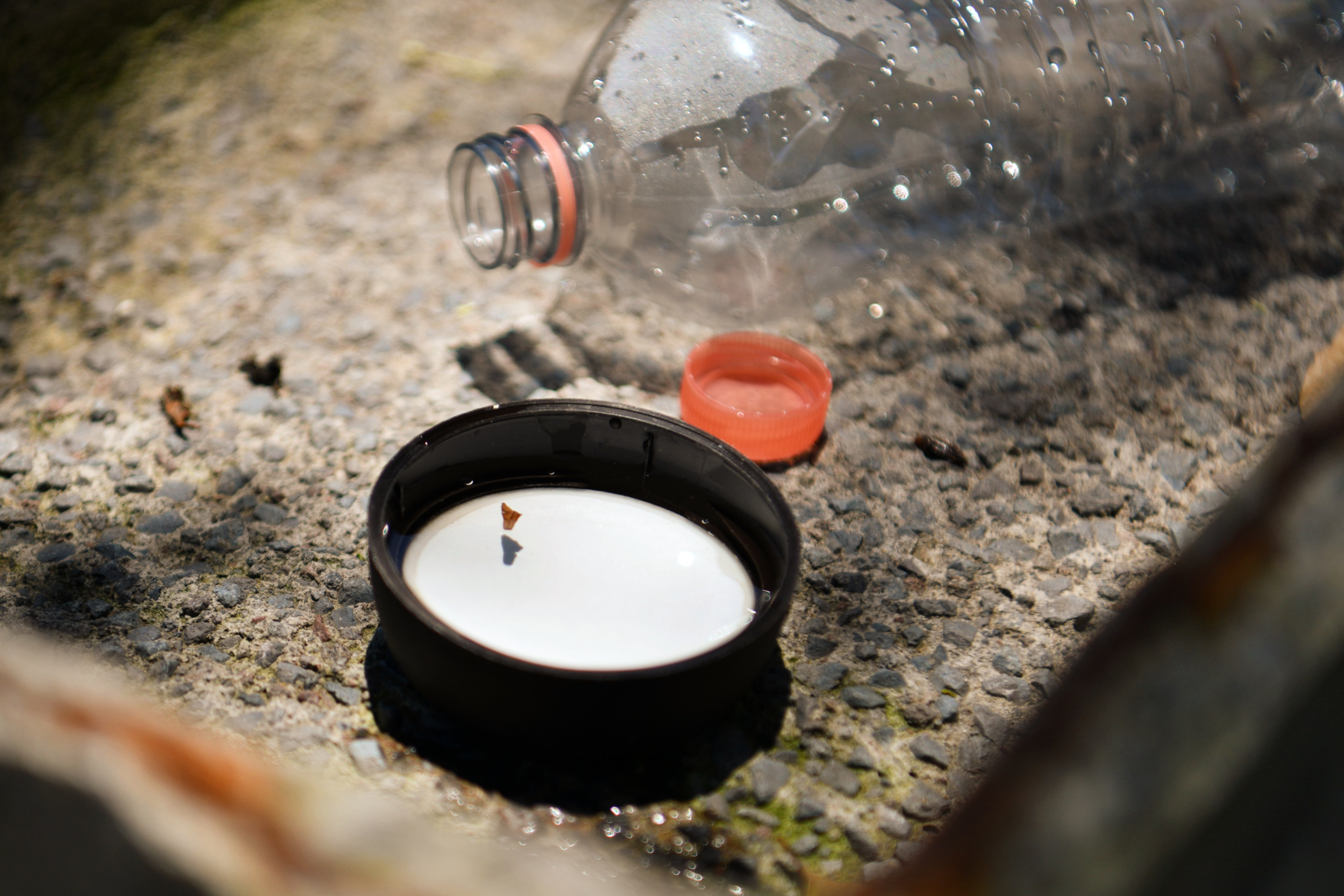 Por: Cortesía Dengue en Puebla