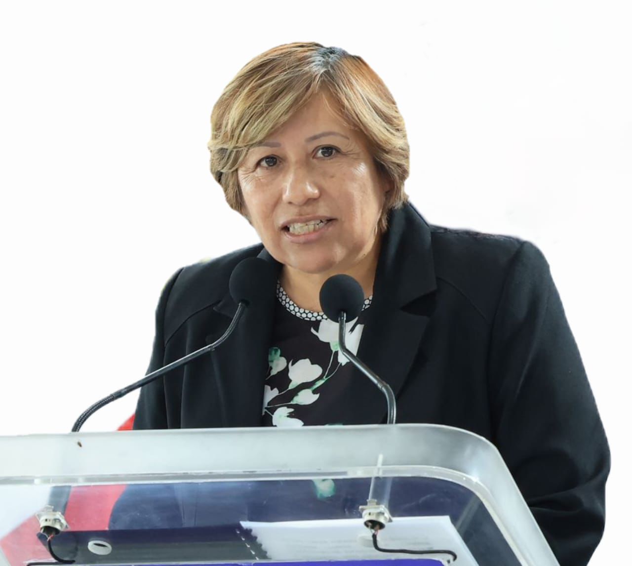 Por: Cortesía Todo está acomodado para que Ernestina Carro sea la titular de la FGJE